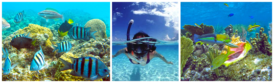 Grand Cayman swimming and snorkeling