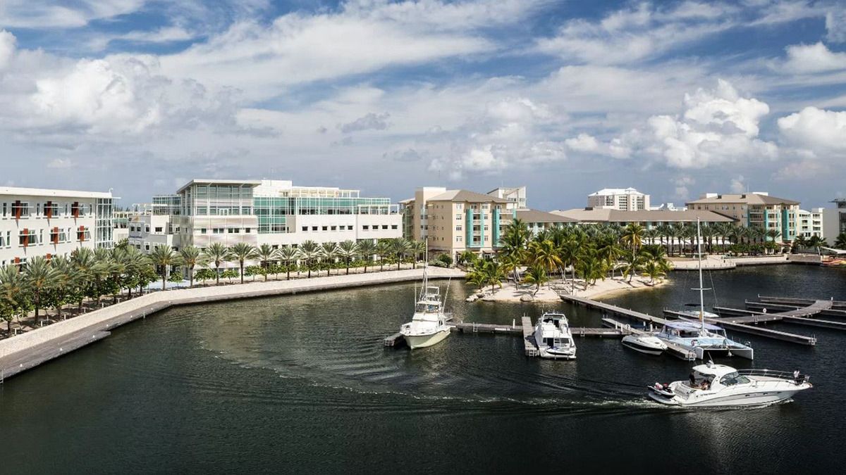Boats in a sheltered marina basin lined with palms and modern waterfront buildings