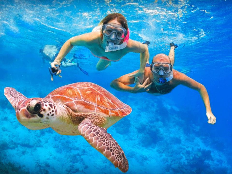 Two snorkelers swimming beside a sea turtle in clear blue water