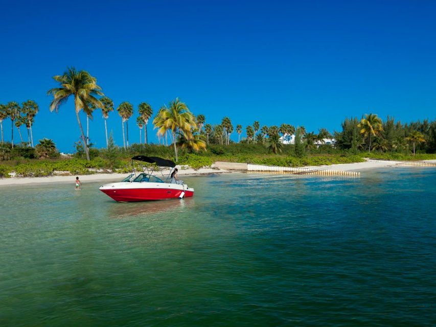 Red speedboat anchored off a palm-fringed beach in calm, clear water