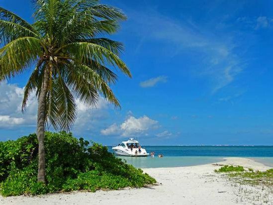 Palm tree on a white-sand beach with a motor yacht anchored offshore